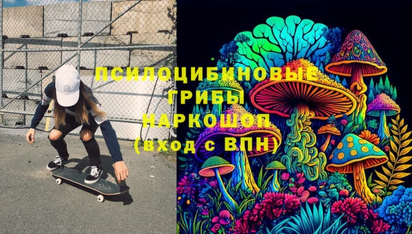 гашик Сатка