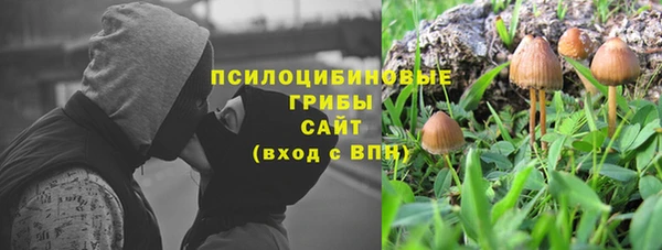 гашик Сатка