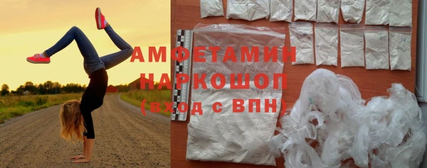 гашик Сатка
